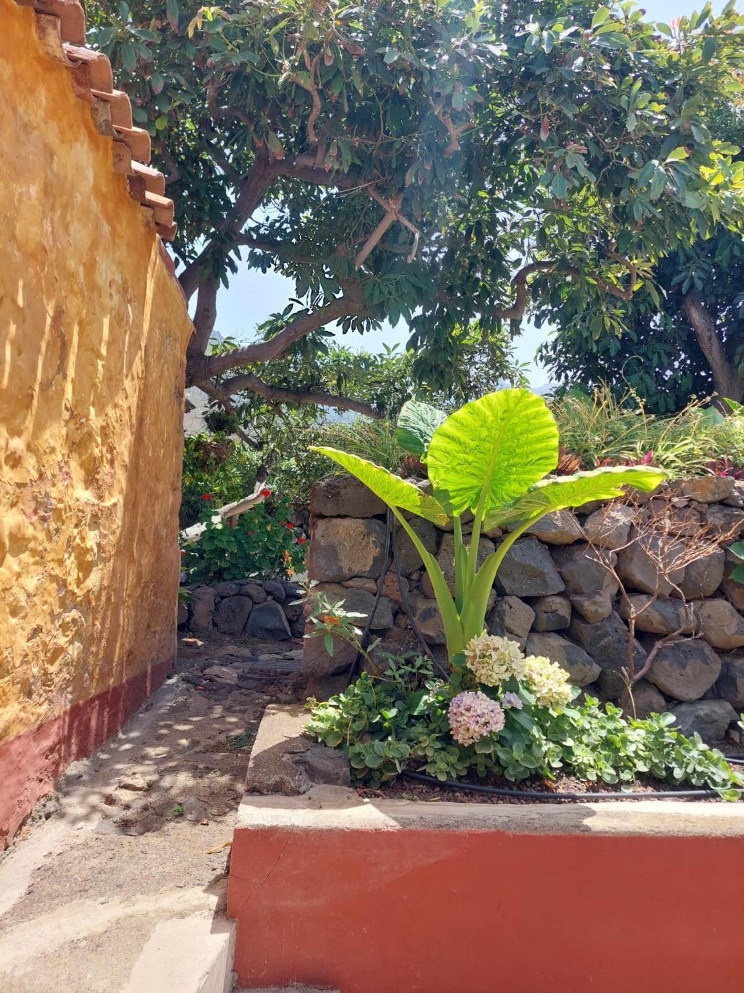 Finca La Plantacion _Agroturismo La Orotava Extérieur photo