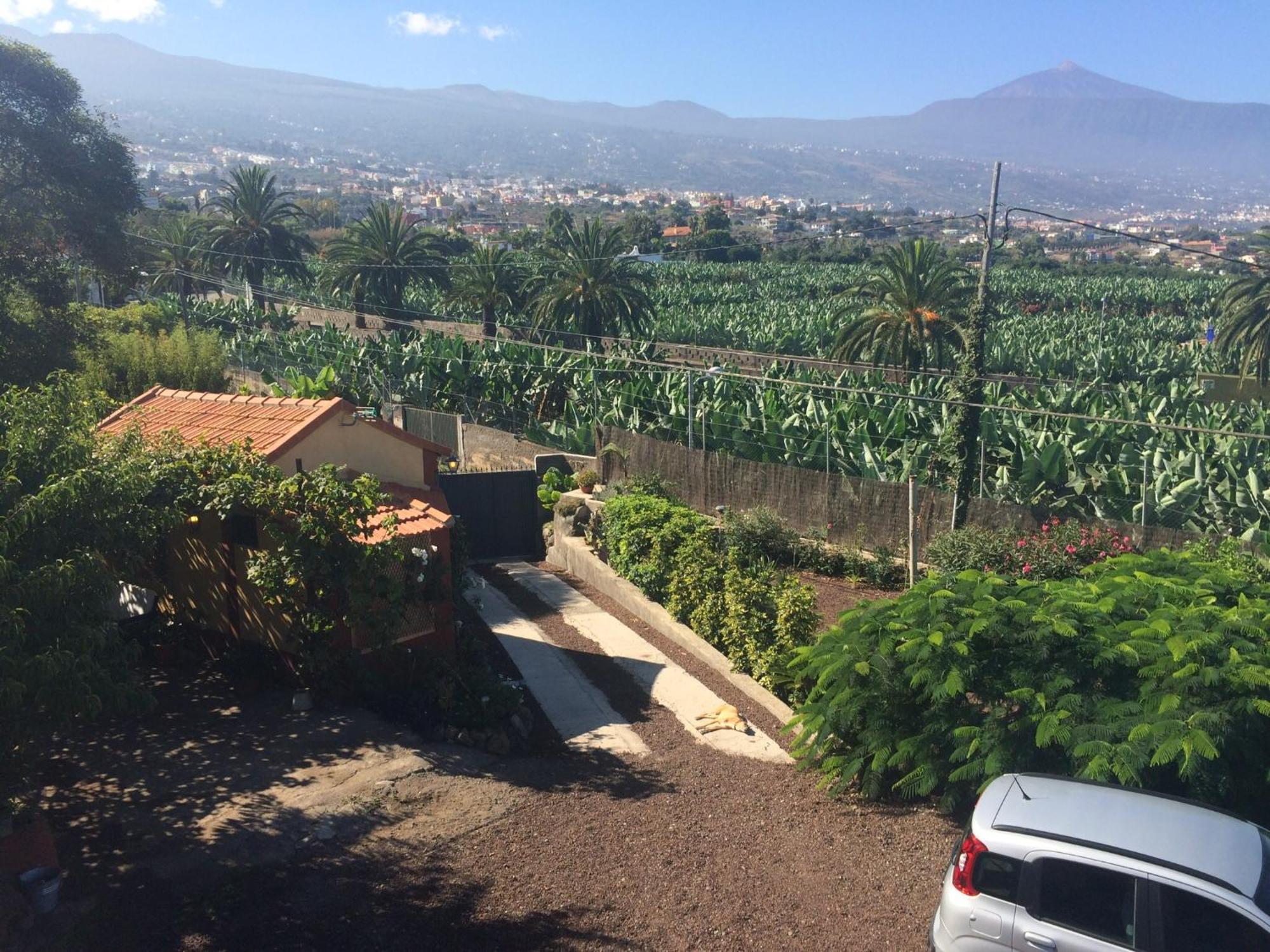 Finca La Plantacion _Agroturismo La Orotava Extérieur photo
